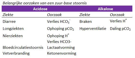 Bloedgas - SKB Winterswijk